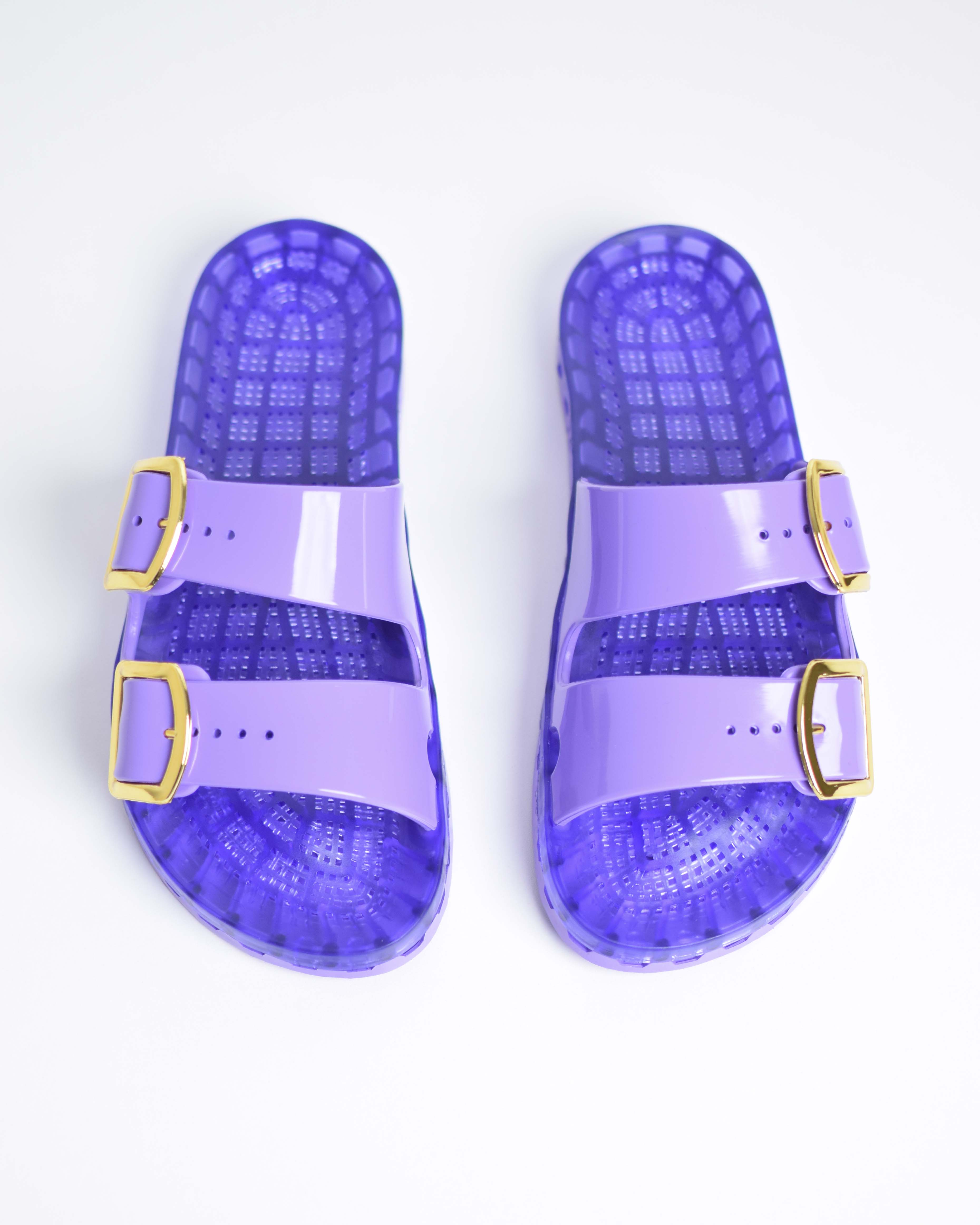 Sensi La Jolla Flamingo